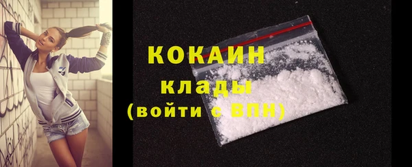 кокс Алексин