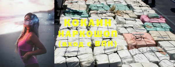 кокс Алексин