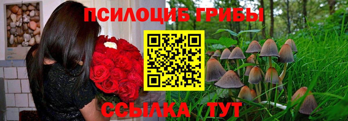 Галлюциногенные грибы Cubensis Тихвин